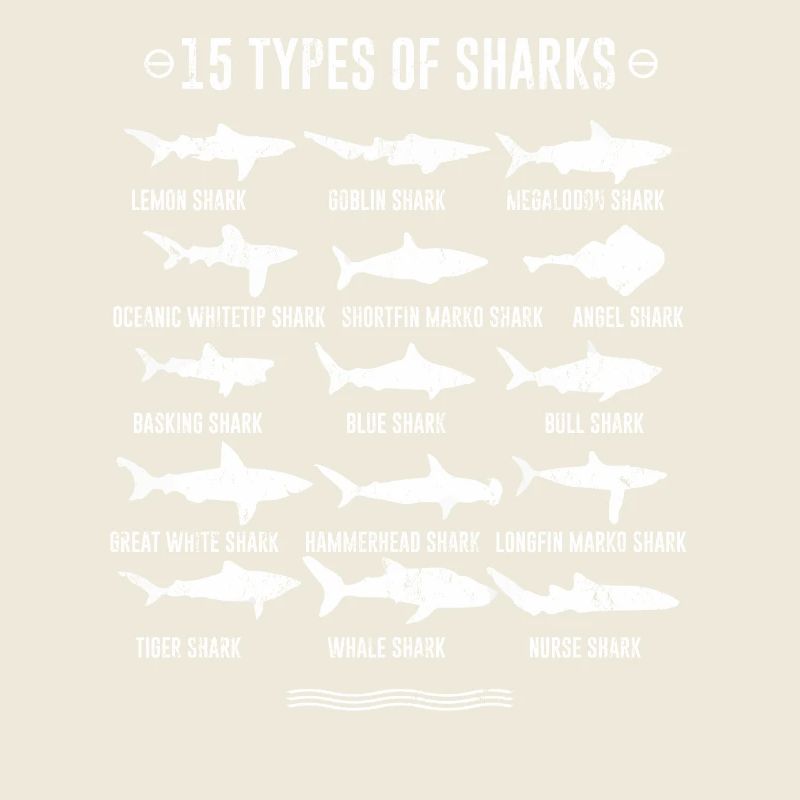 Requins - 15 types de requins