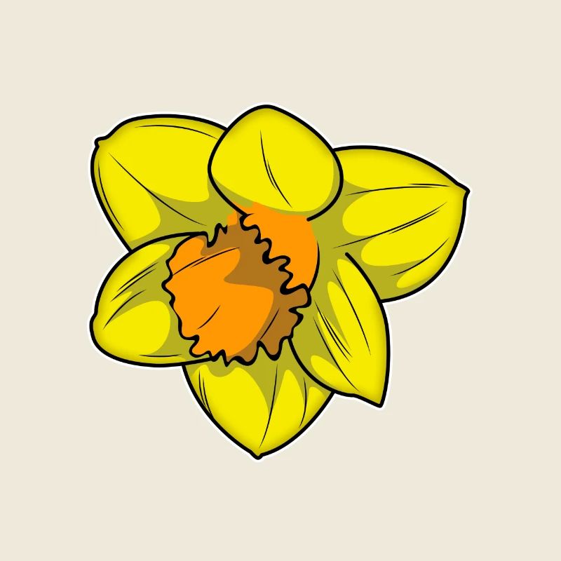 Vibrant daffodil with warm hues