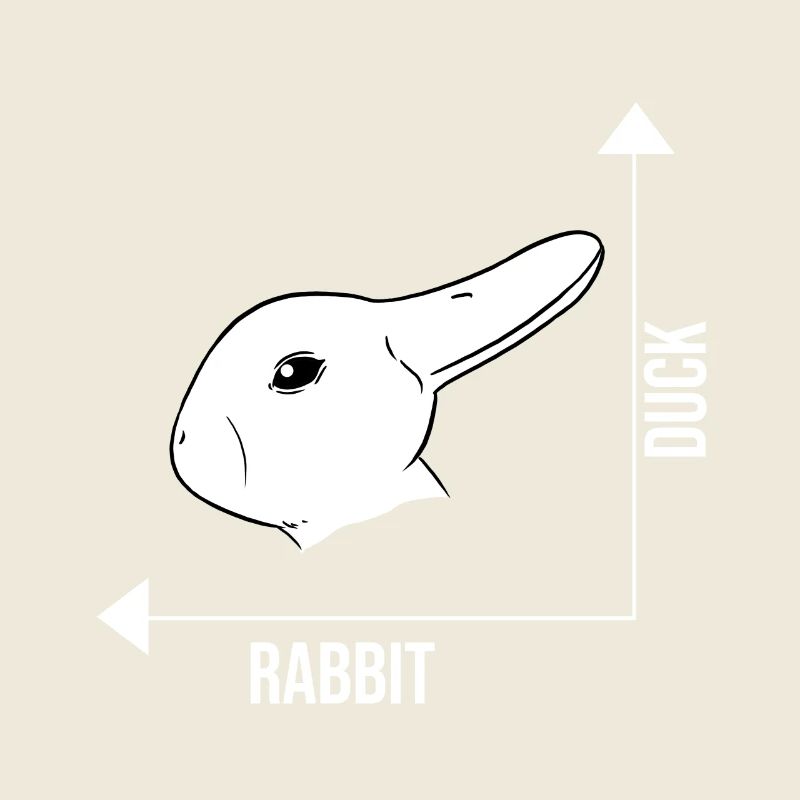 Bunny duck illusion optical illusion