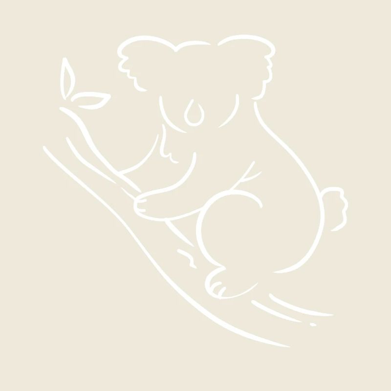 Koala Australien Australier