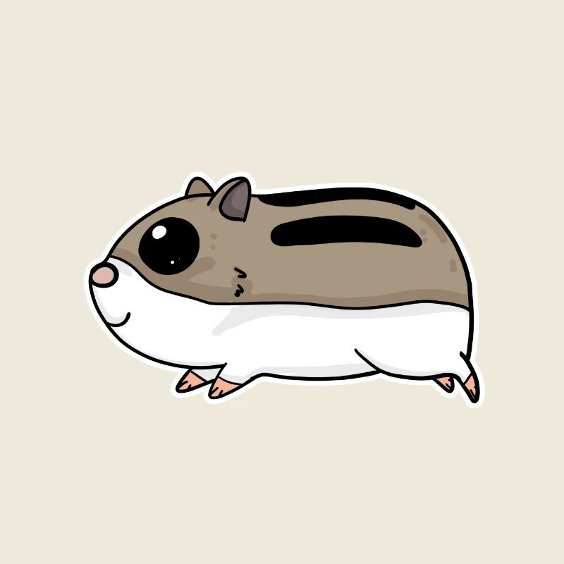 Hamster mignon
