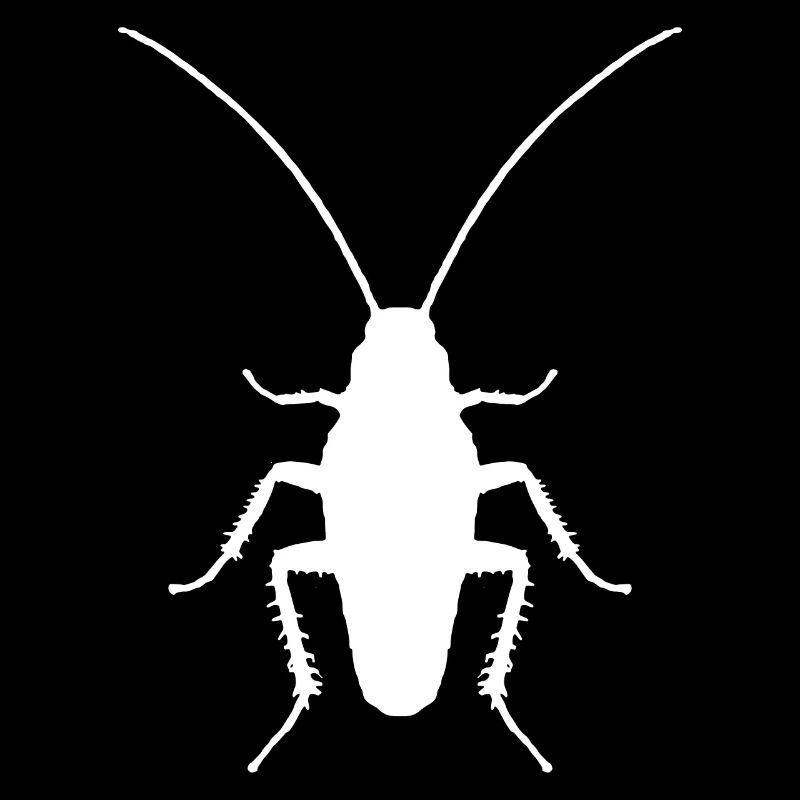 Entomologiste d’insectes cafards