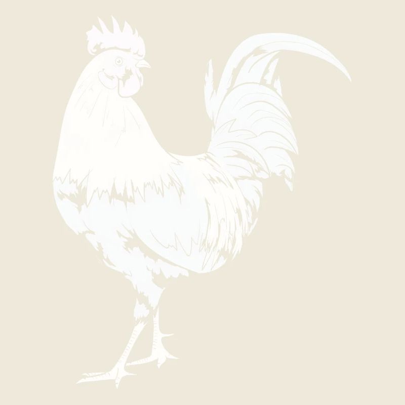 Coq Poulet Coq