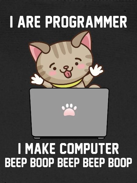 Programmierer