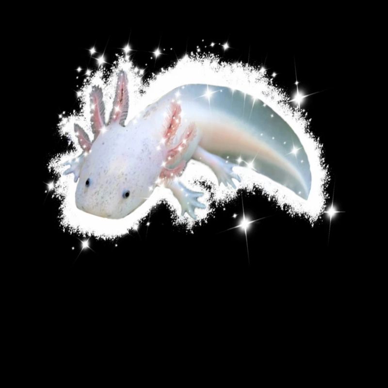 white axolotl