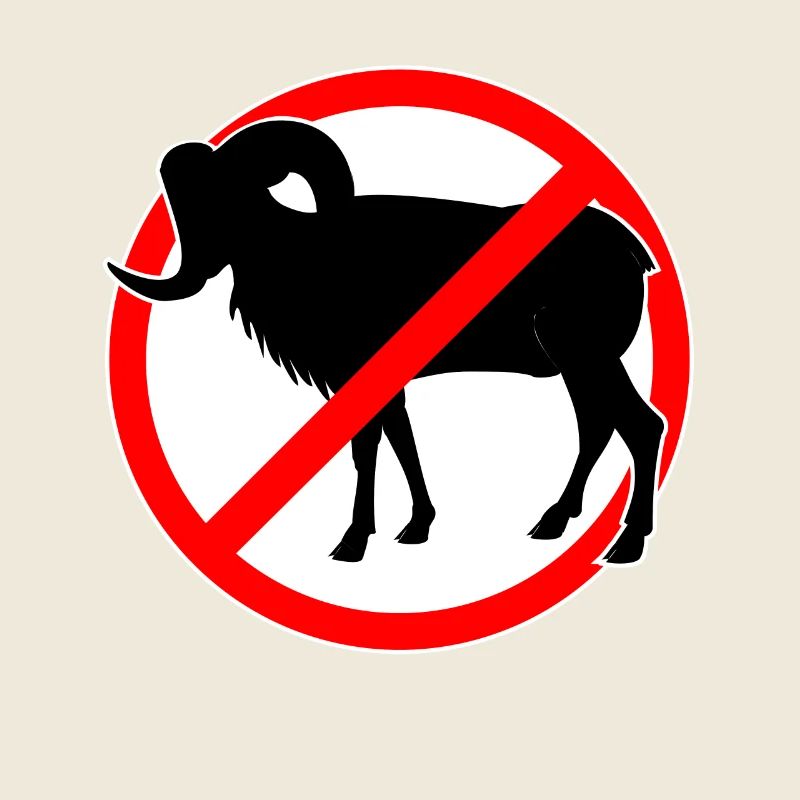 Chèvres ou mouflons interdits - chèvre