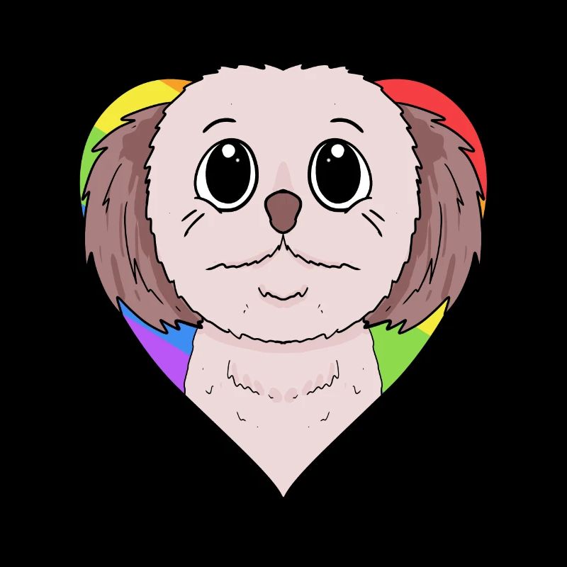 Shih Tzu Hund