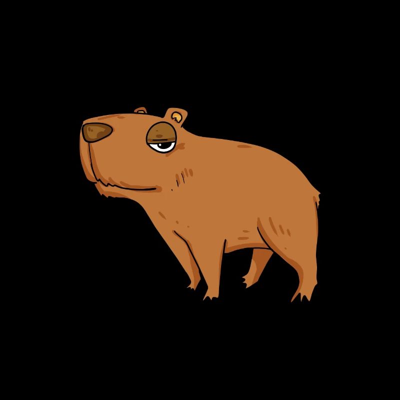 Capybara Mädchen Spruch