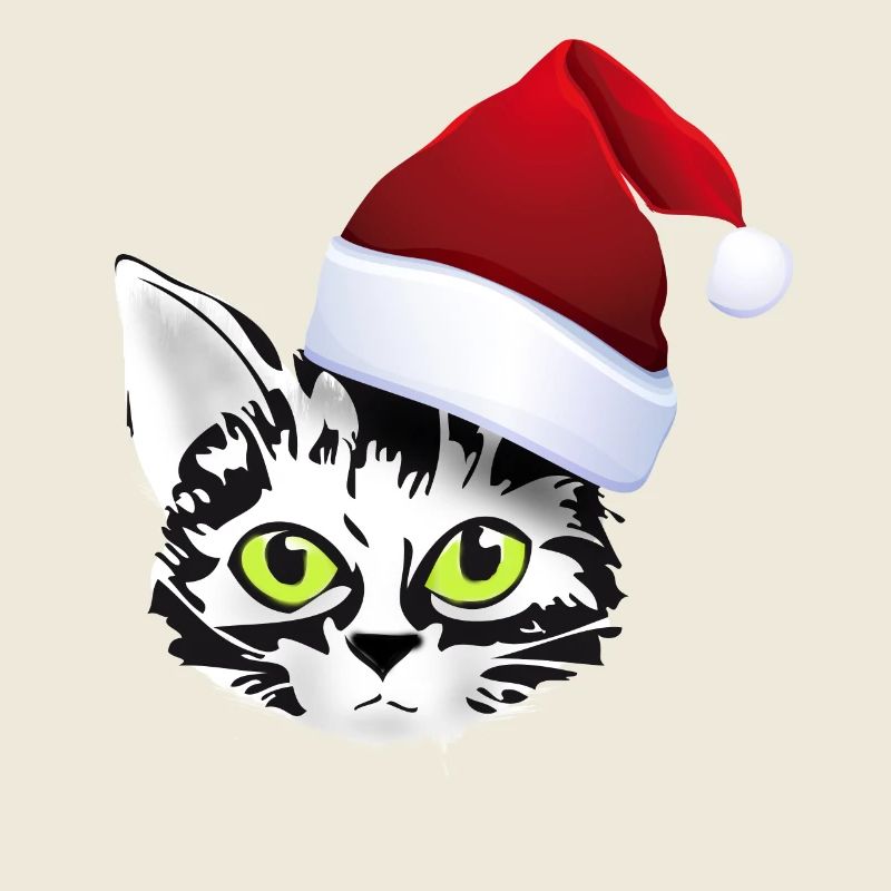 chat noël noël père noël chat mignon mignon lol