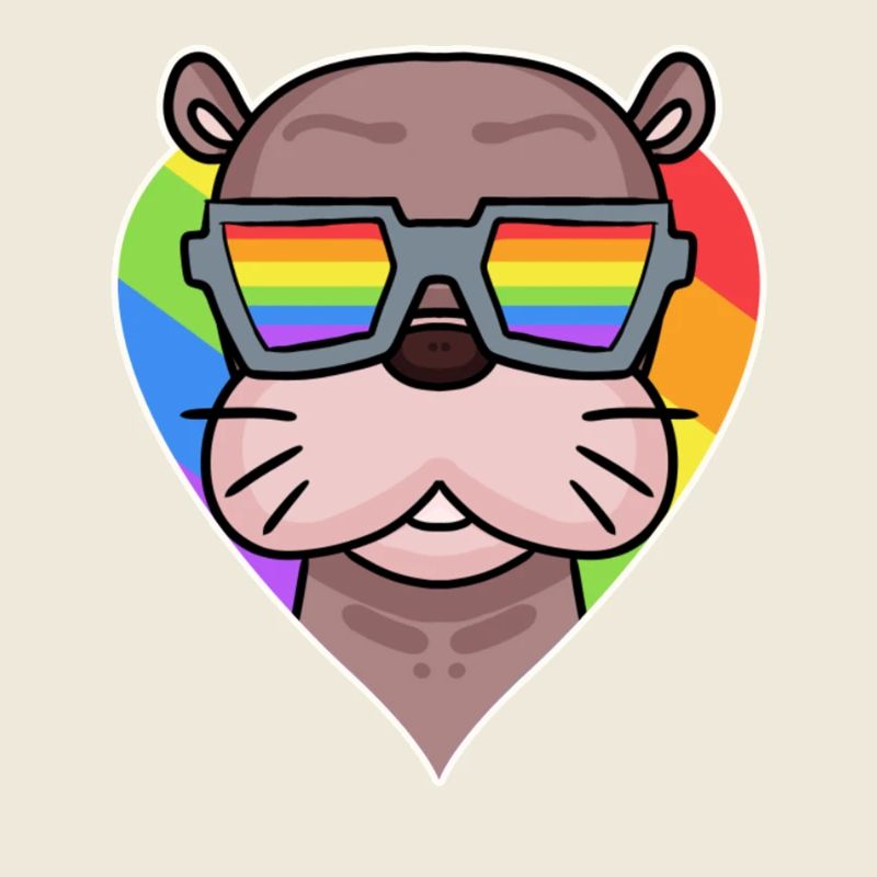 Seelöwe Regenobogen