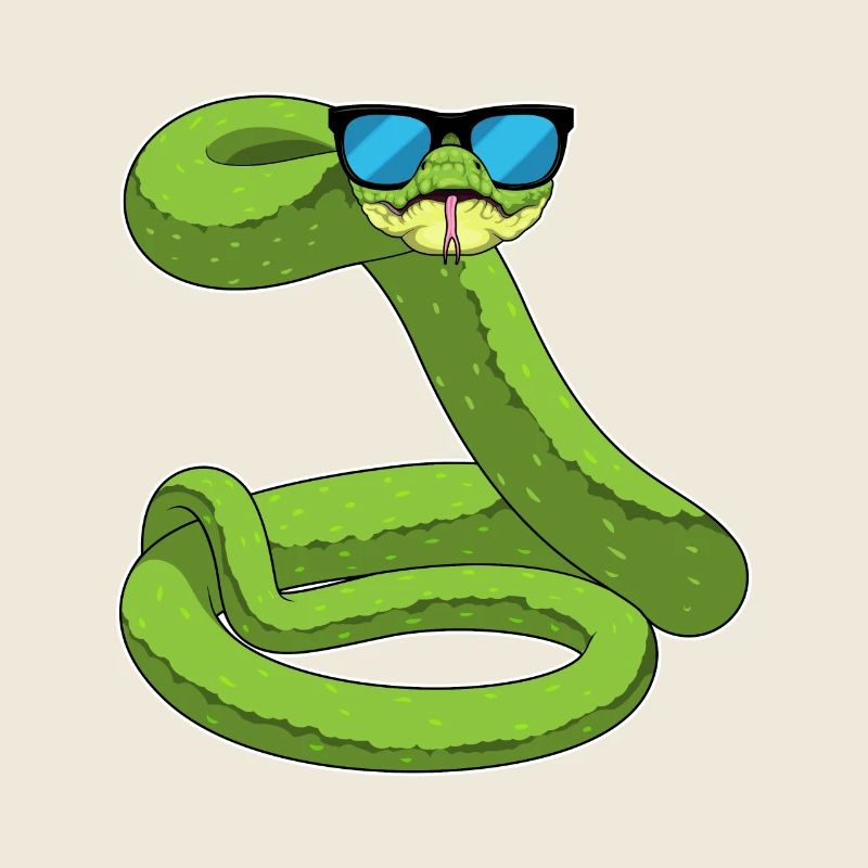 Lunettes de soleil Snake