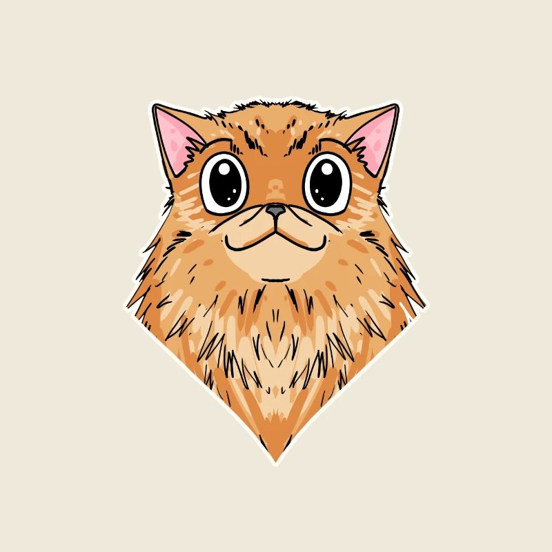 Chat persan Race de chat Chat