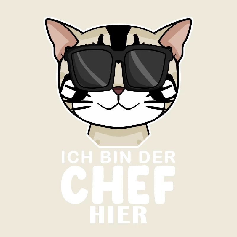 coole Katze - American Shorthair Katze Spruch