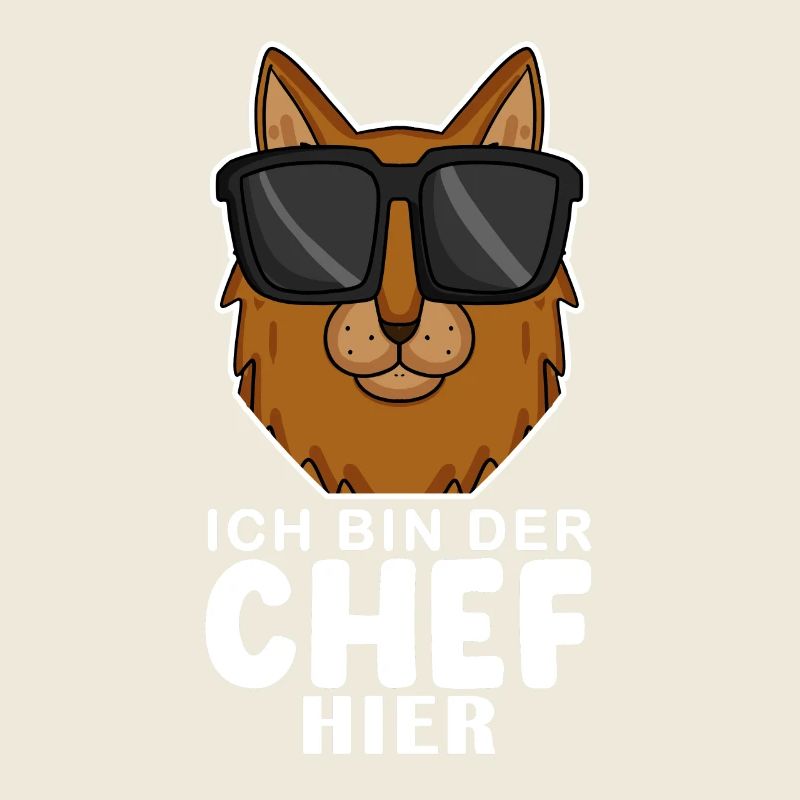 coole Katze - Somali Katze Spruch