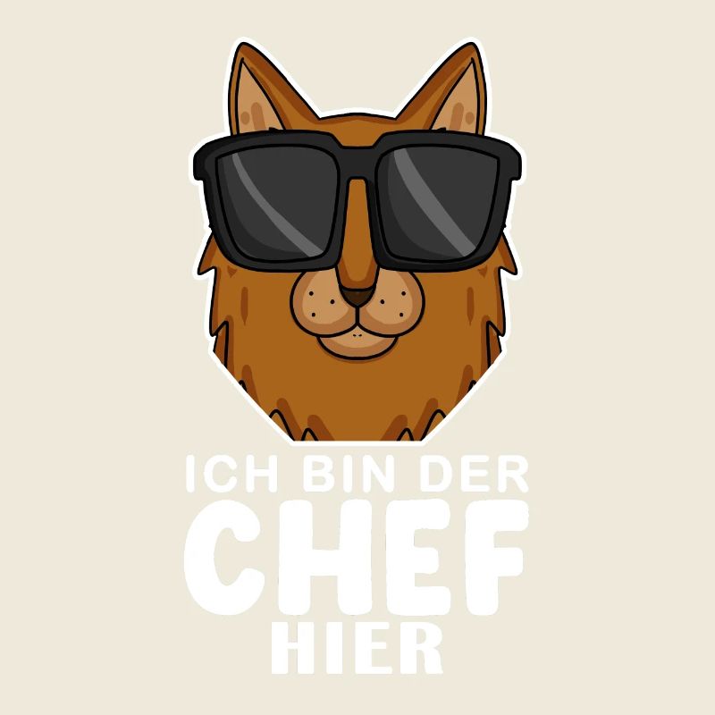 coole Katze - Somali Katze Spruch