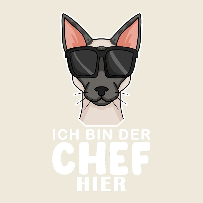 coole Katze - Siamkatze Spruch