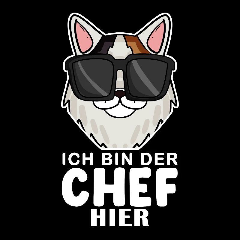 coole Katze - Japanese Bobtail Katze Spruch