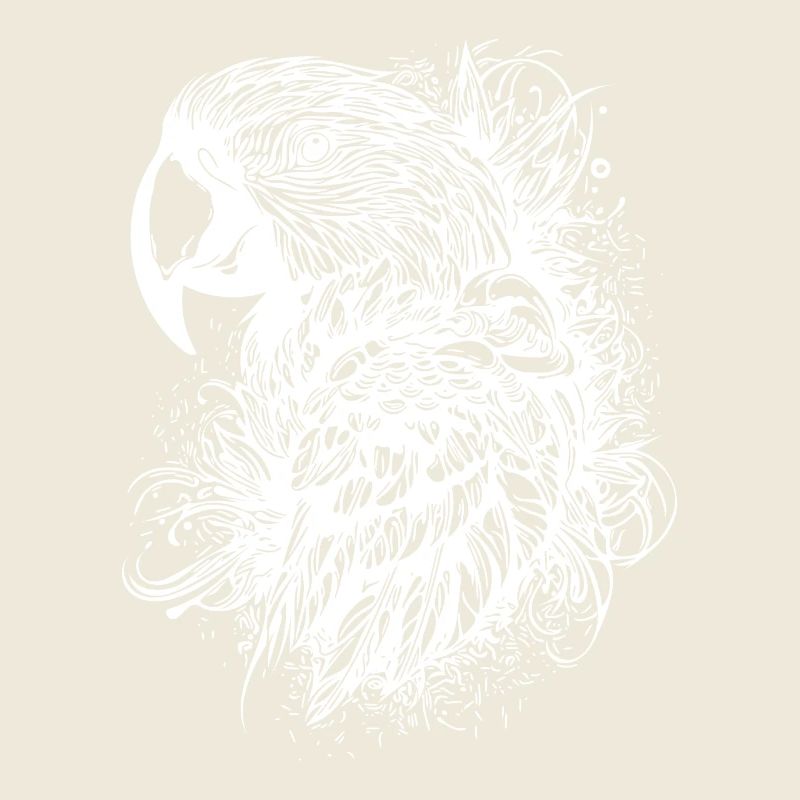 Parrot Vintage Bird Portrait Drawing
