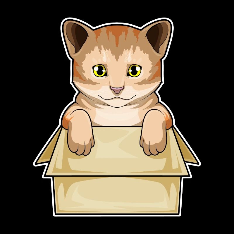 Katze Karton