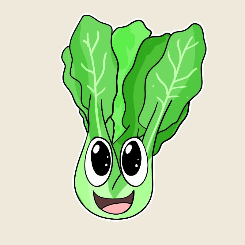 Kopfsalat