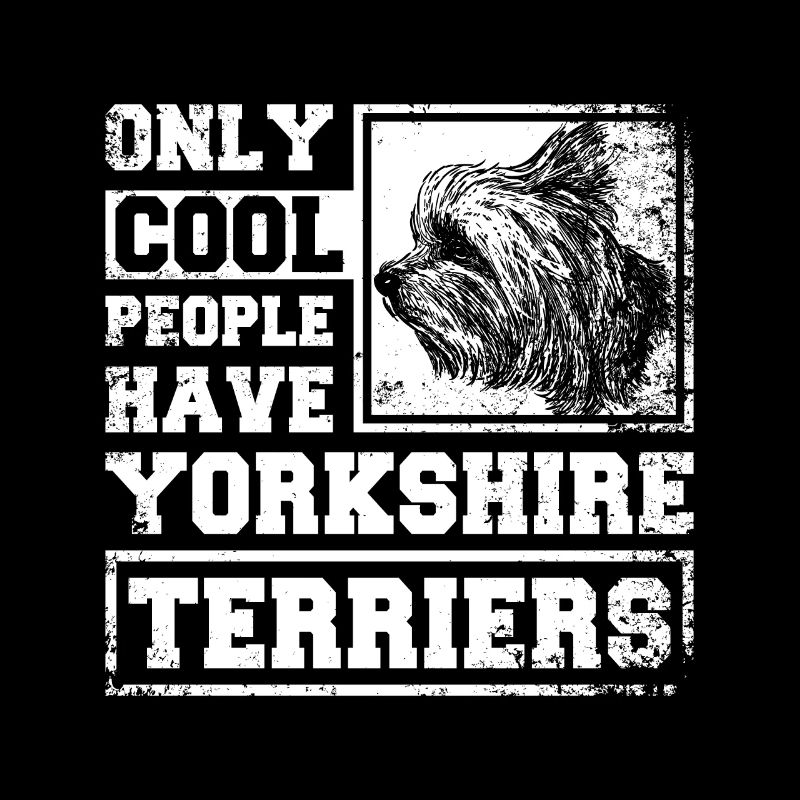 Only cool people have yorkshire terriers