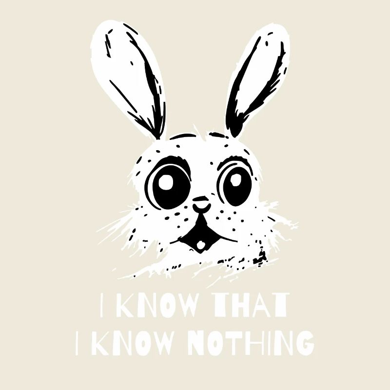 I Know That I Know Nothing - A Wise Rabbit