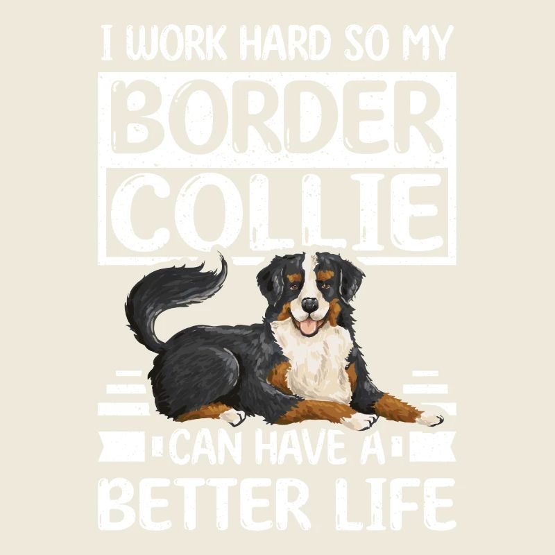 work hard border collie can have a better life
