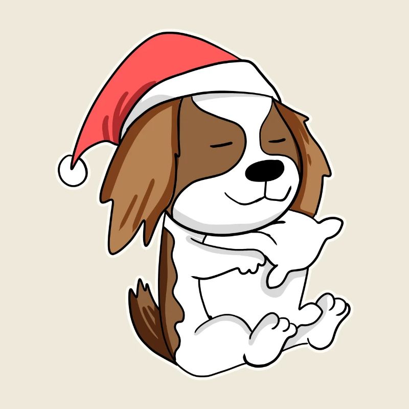 Cavalier King Charles Spaniel Hund Tier