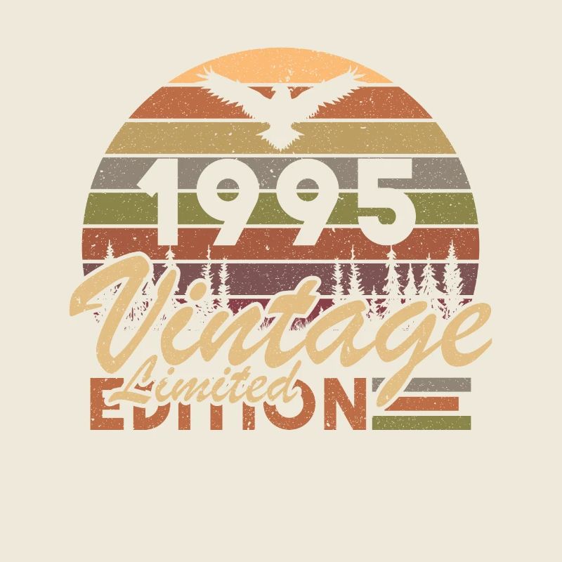 30 Years 1995 Vintage Retro Birthday Gift