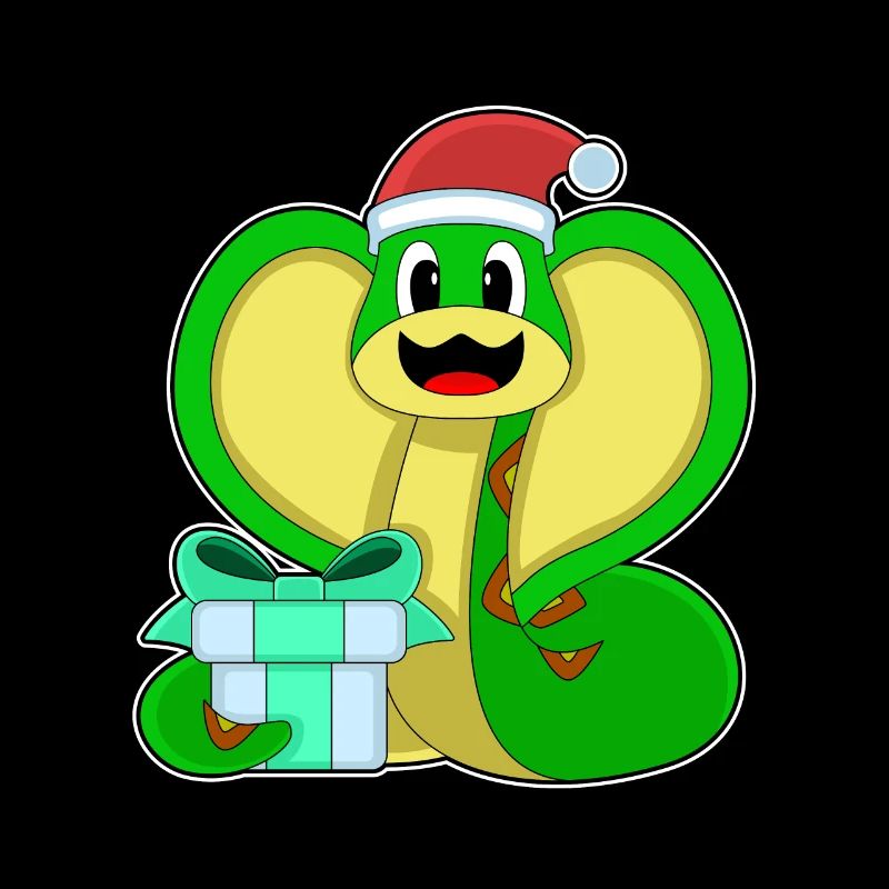 Snake Christmas Package