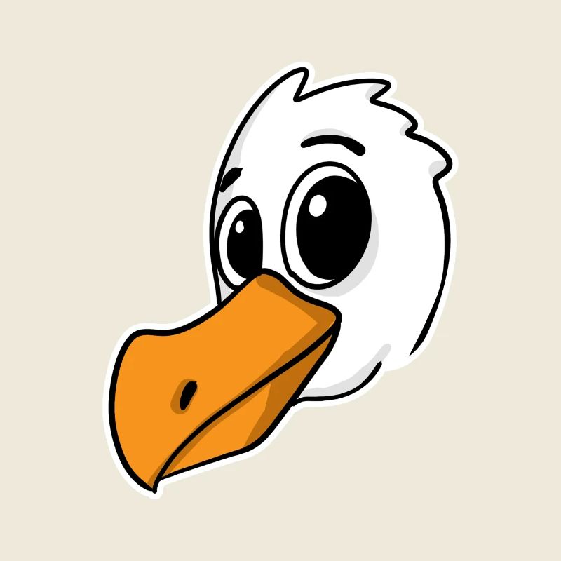 Möwe Vogel Nordsee