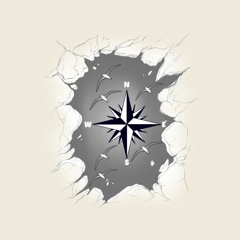 Möwen Möwe Kompass maritim