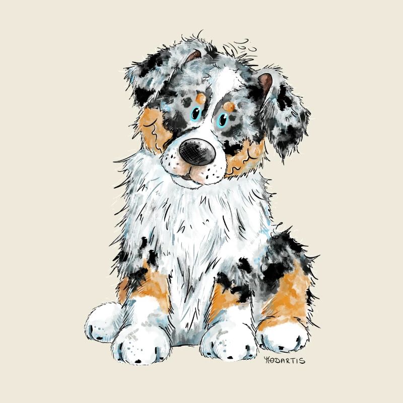 Australian Shepherd Dog Aussie