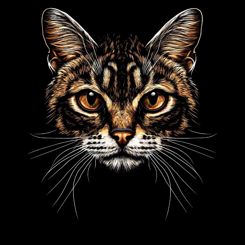 Chat Bengal Chat Léopard Chat Leopardette Chats Bengale