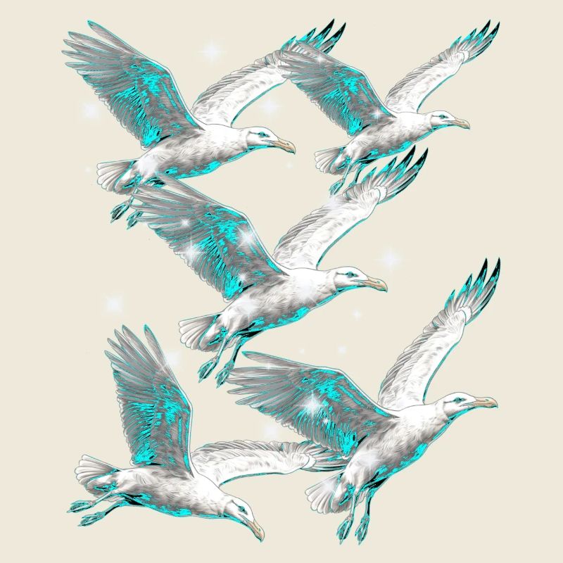 Maritim Möwe Möwen Seevögel