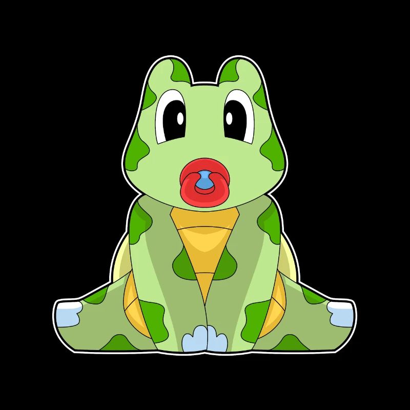 Turtle Baby Pacifier