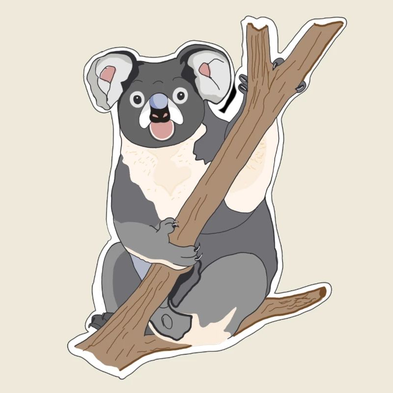 Koala Koalabär