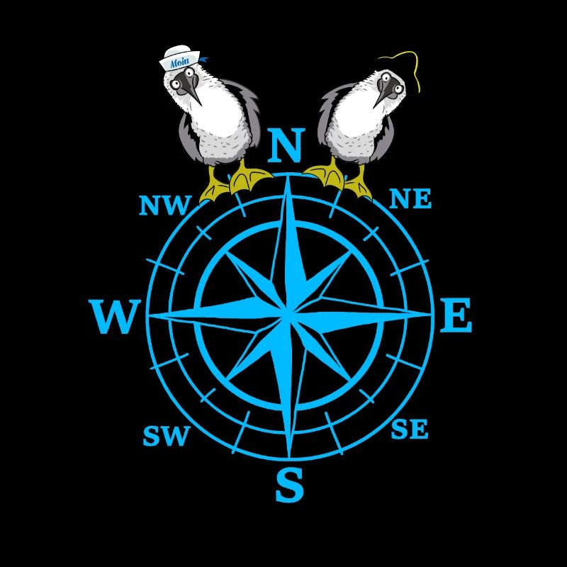 maritime compass seagulls seagull