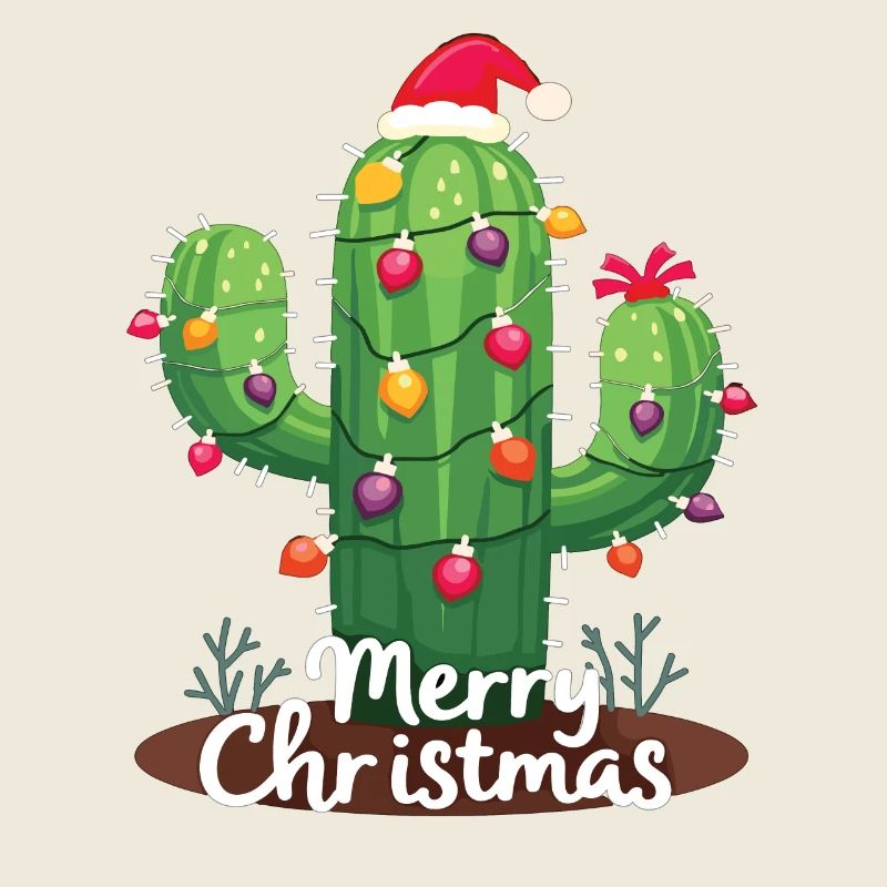Cactus de Noël Cactus Cactus