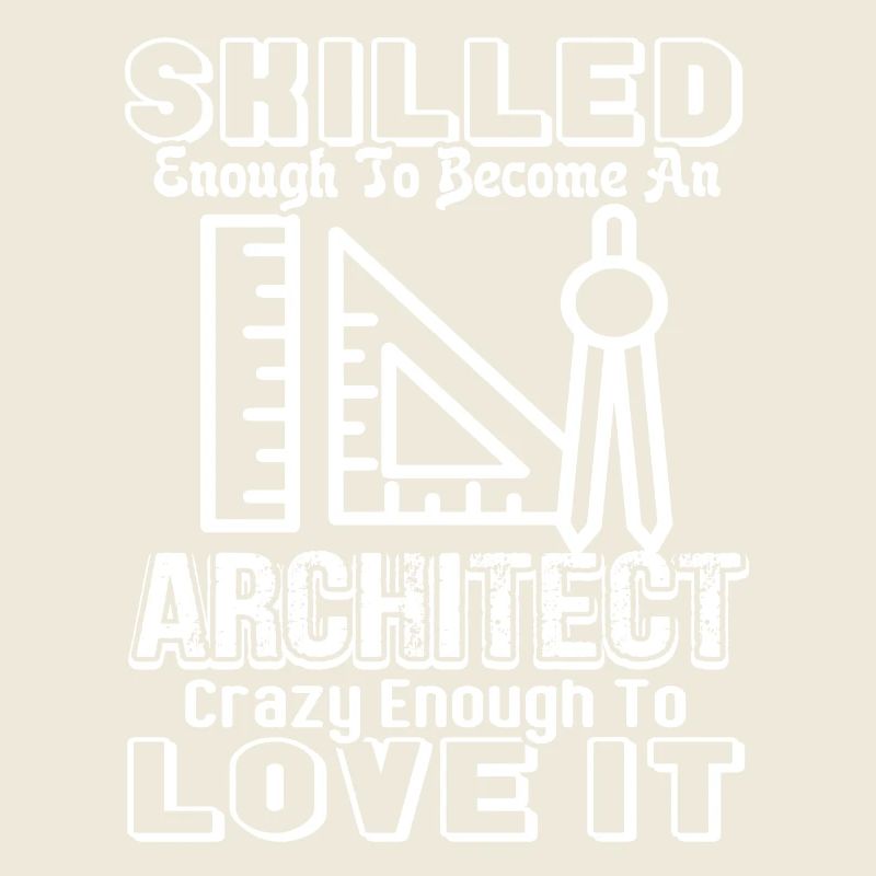 Architect Skilled Enough To Become An Architect