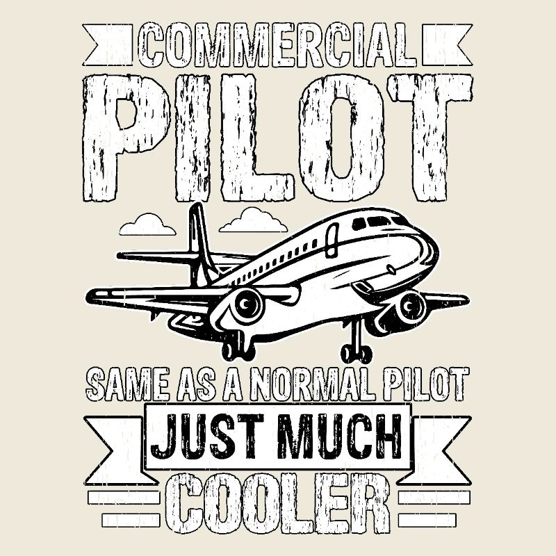 Commercial Pilot same as a normal Pilot just much