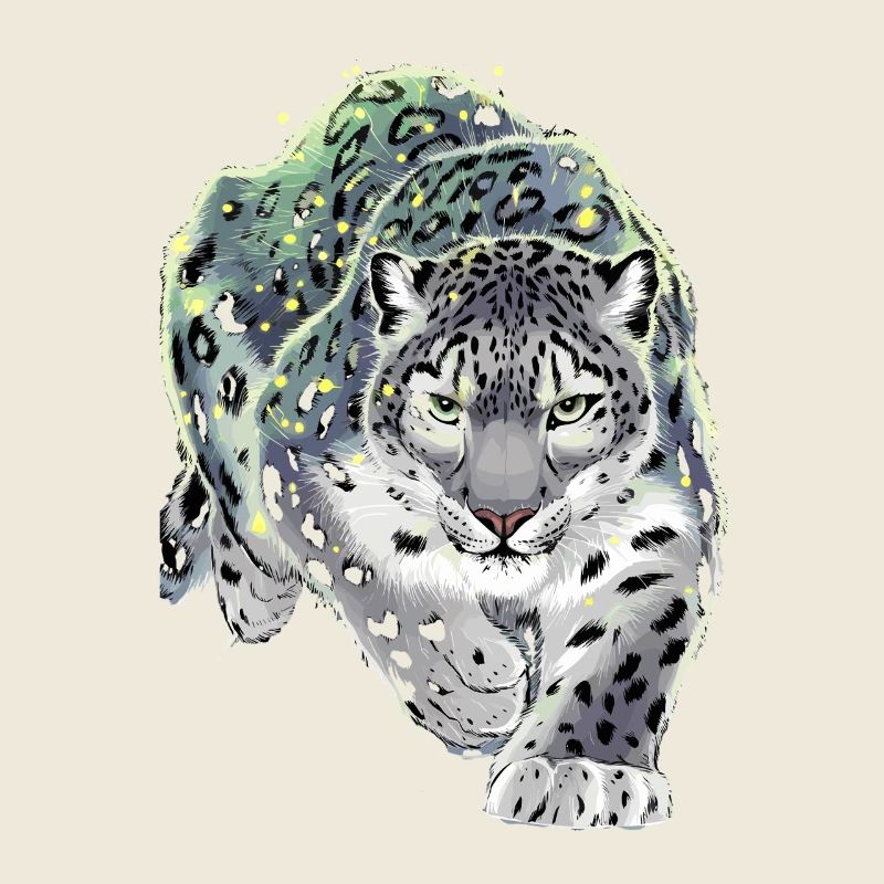 Schneeleopard Leopard Raubkatze