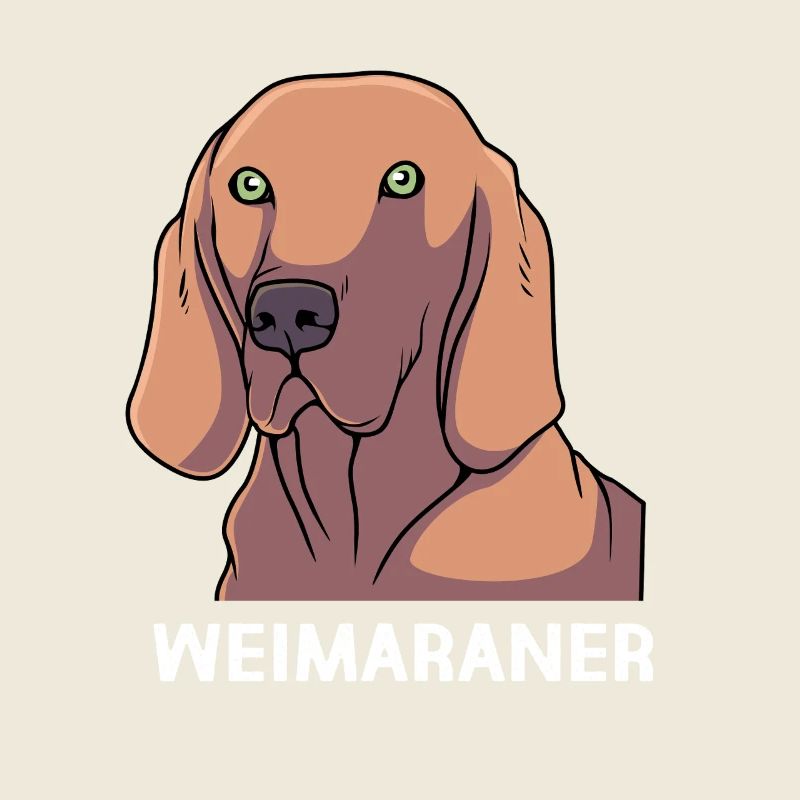 Weimaraner