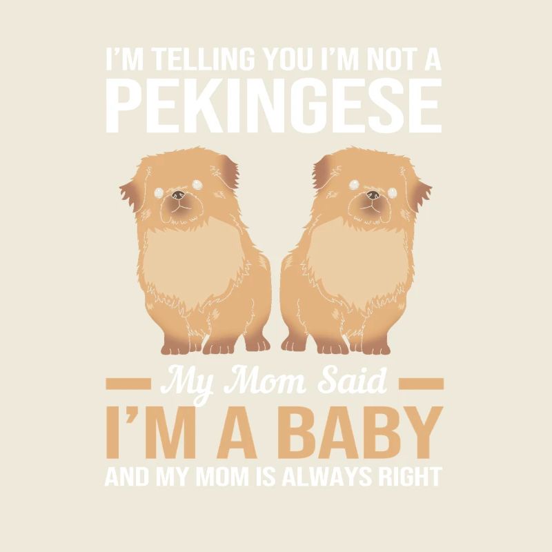 Péningèse pékinois