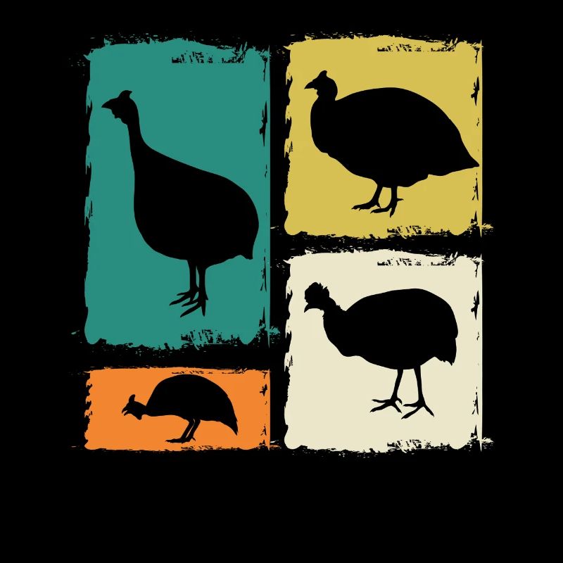 Poules Coq Pintade