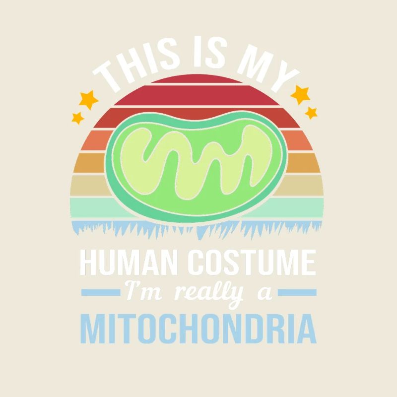 Formule structurelle de la molécule