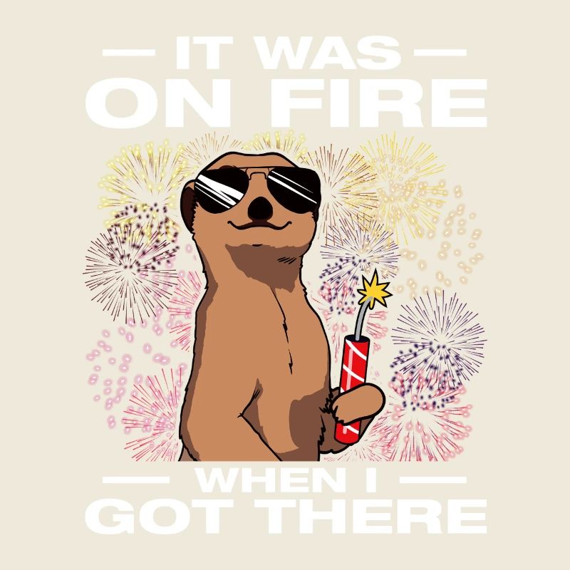 It was on fire: pyrotechnicians, firecrackers, fireworks