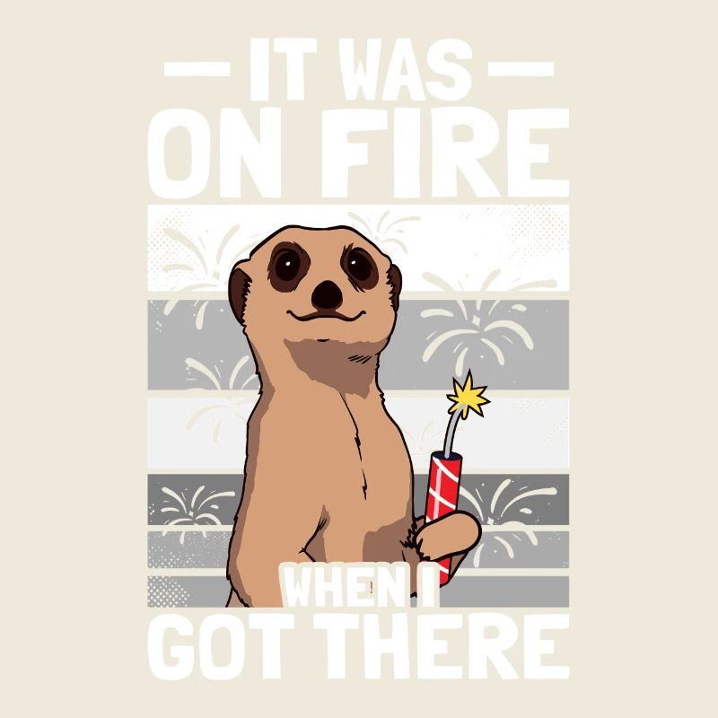 It was on fire: pyrotechnicians, firecrackers, fireworks