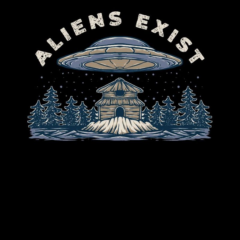 Alien UFO Abduction Cabin