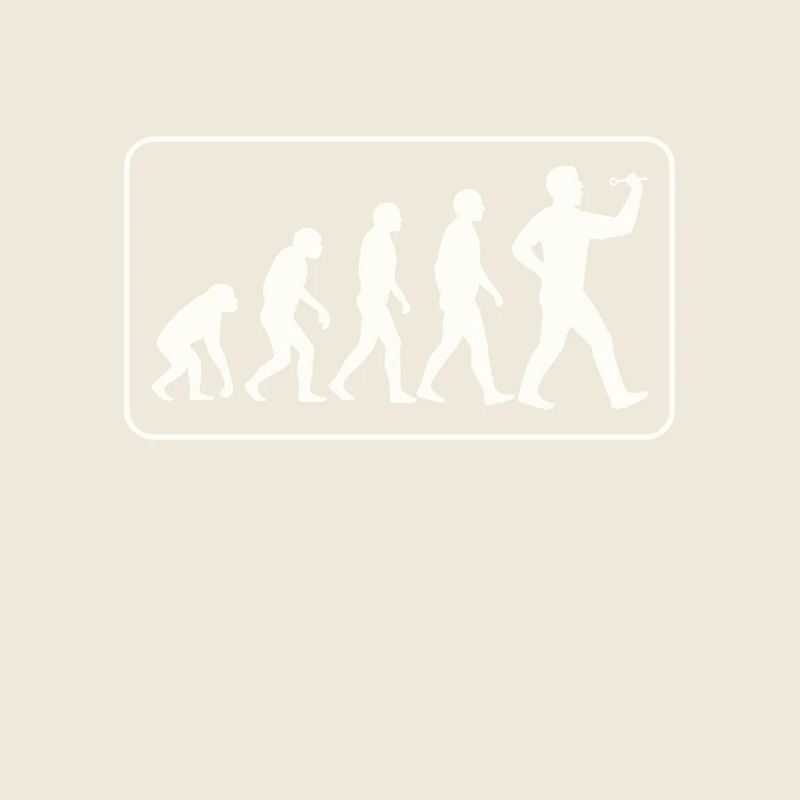 Fléchette Evolution